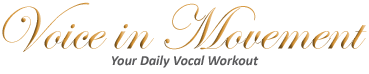 Voice in Movement Logo